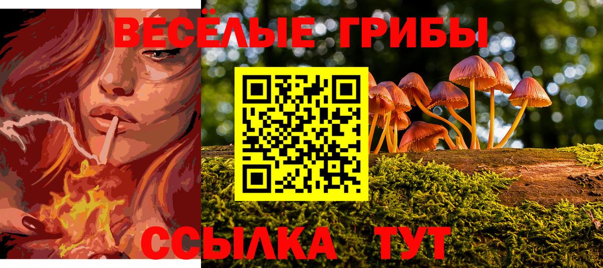 Галлюциногенные грибы Cubensis  Вход с VPN  Семёнов  Галлюциногенные грибы MAGIC MUSHROOMS 